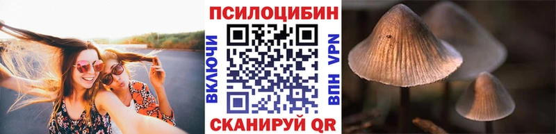 Псилоцибиновые грибы мицелий  Киселёвск 