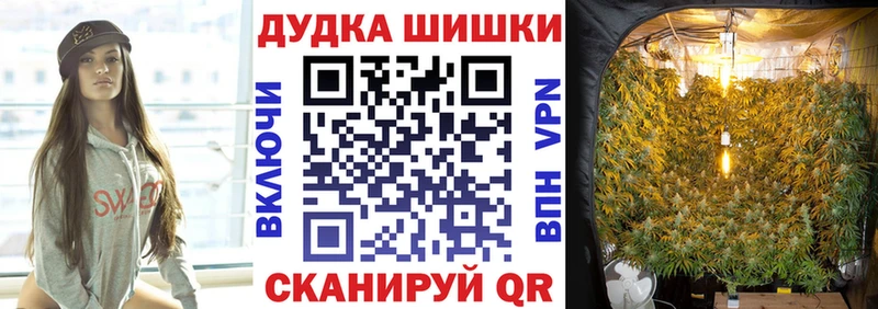 Бошки марихуана марихуана купить сайты Киселёвск